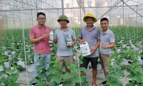 đánh giá của khách hàng về đạm cá Hoàng Ngưu Sơn