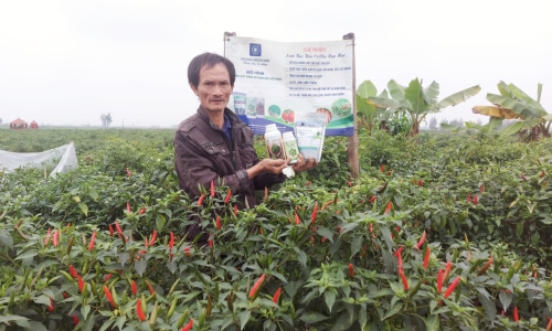 chia sẻ của bà con khi dùng đạm cá hoàng ngưu sơn