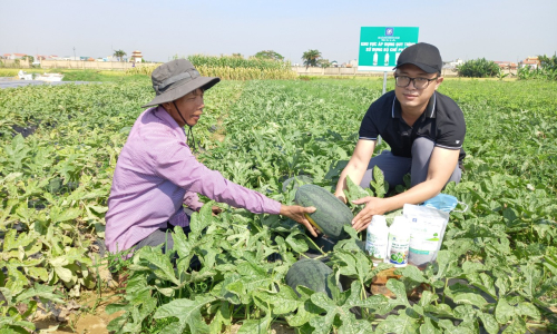 cảm nhận của khách hàng khi sử dụng chế phẩm sinh học Hoàng Ngưu Sơn